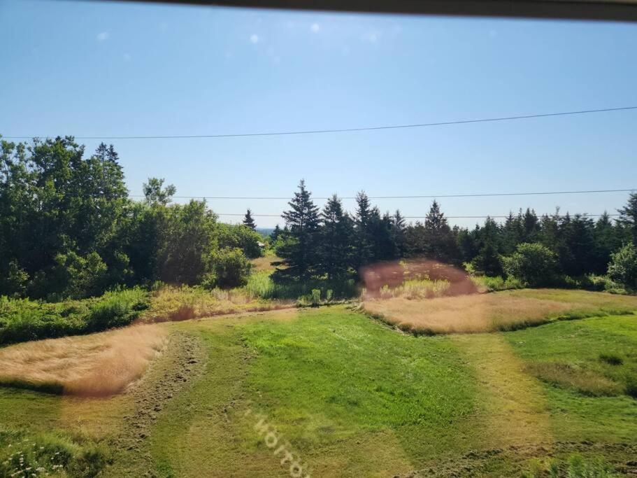 Cozy Apartment Near The Ocean Guysborough Exterior photo